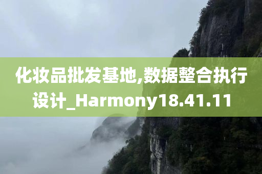 化妆品批发基地,数据整合执行设计_Harmony18.41.11