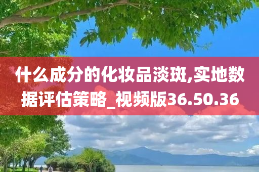 什么成分的化妆品淡斑,实地数据评估策略_视频版36.50.36