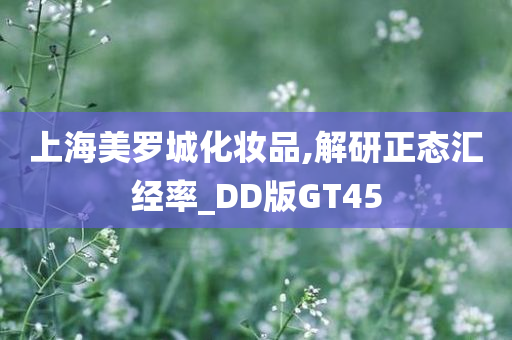 上海美罗城化妆品,解研正态汇经率_DD版GT45