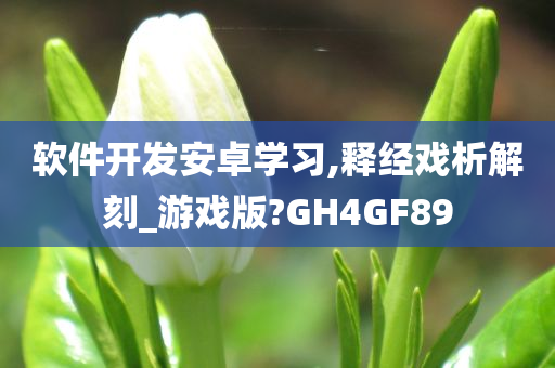 软件开发安卓学习,释经戏析解刻_游戏版?GH4GF89