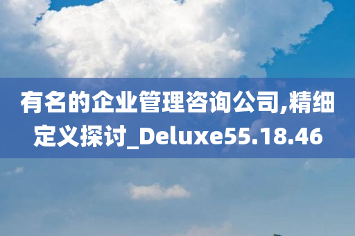 有名的企业管理咨询公司,精细定义探讨_Deluxe55.18.46