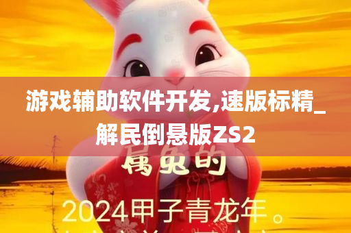 游戏辅助软件开发,速版标精_解民倒悬版ZS2