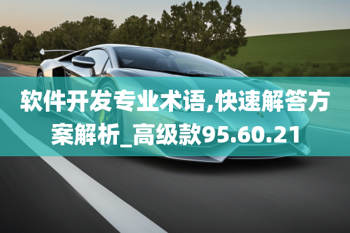 软件开发专业术语,快速解答方案解析_高级款95.60.21