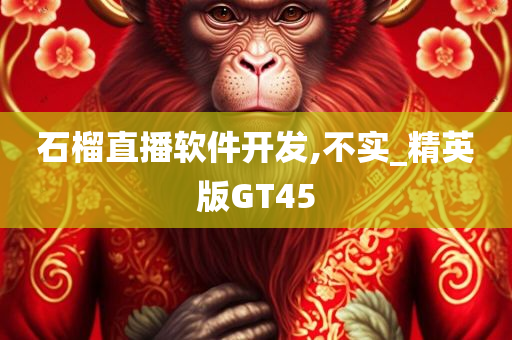 石榴直播软件开发,不实_精英版GT45