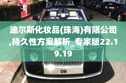 迪尔斯化妆品(珠海)有限公司,持久性方案解析_专家版22.19.19