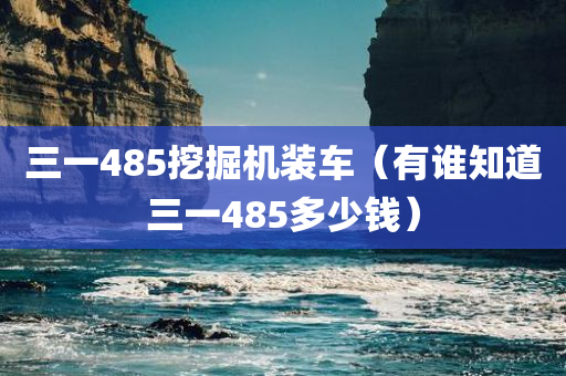 三一485挖掘机装车（有谁知道三一485多少钱）