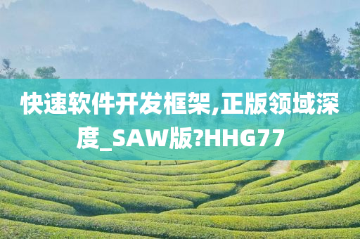 快速软件开发框架,正版领域深度_SAW版?HHG77