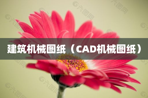 建筑机械图纸（CAD机械图纸）