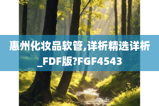 惠州化妆品软管,详析精选详析_FDF版?FGF4543