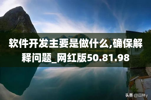 软件开发主要是做什么,确保解释问题_网红版50.81.98