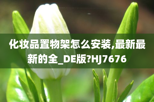 化妆品置物架怎么安装,最新最新的全_DE版?HJ7676