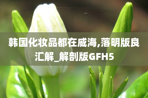 韩国化妆品都在威海,落明版良汇解_解剖版GFH5