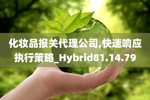 化妆品报关代理公司,快速响应执行策略_Hybrid81.14.79