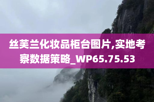 丝芙兰化妆品柜台图片,实地考察数据策略_WP65.75.53