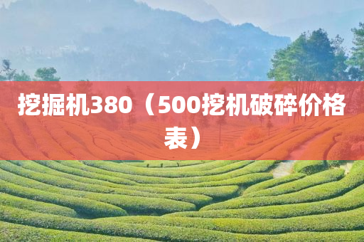 挖掘机380（500挖机破碎价格表）