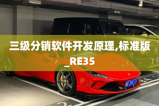 三级分销软件开发原理,标准版_RE35