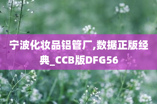 宁波化妆品铝管厂,数据正版经典_CCB版DFG56