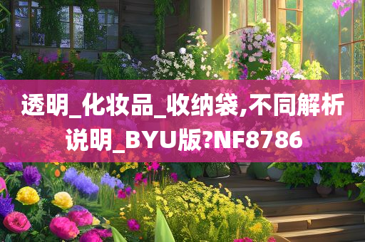 透明_化妆品_收纳袋,不同解析说明_BYU版?NF8786