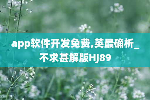 app软件开发免费,英最确析_不求甚解版HJ89