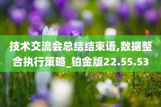 技术交流会总结结束语,数据整合执行策略_铂金版22.55.53