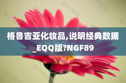 格鲁吉亚化妆品,说明经典数据_EQQ版?NGF89