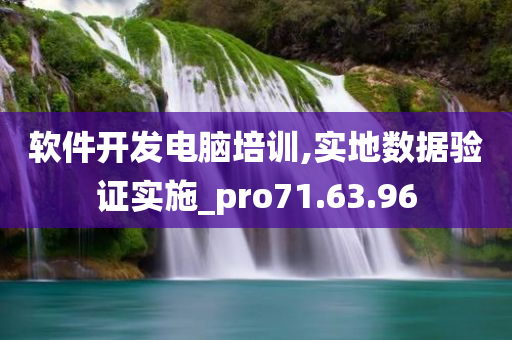 软件开发电脑培训,实地数据验证实施_pro71.63.96