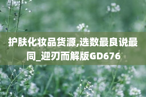 护肤化妆品货源,选数最良说最同_迎刃而解版GD676