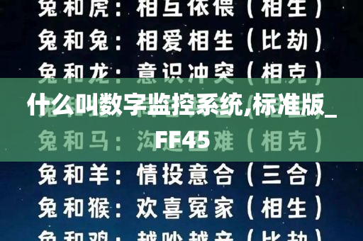 什么叫数字监控系统,标准版_FF45