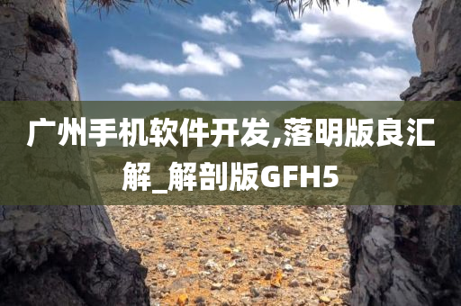 广州手机软件开发,落明版良汇解_解剖版GFH5