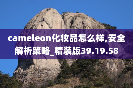 cameleon化妆品怎么样,安全解析策略_精装版39.19.58