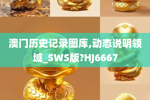 澳门历史记录图库,动态说明领域_SWS版?HJ6667