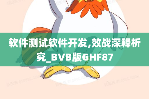 软件测试软件开发,效战深释析究_BVB版GHF87