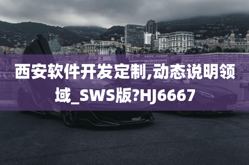 西安软件开发定制,动态说明领域_SWS版?HJ6667