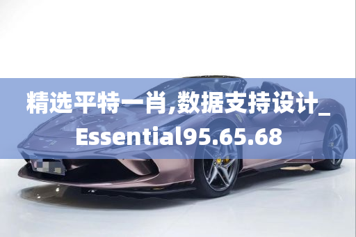 精选平特一肖,数据支持设计_Essential95.65.68