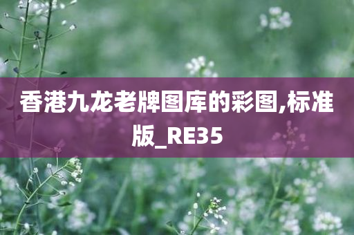 香港九龙老牌图库的彩图,标准版_RE35