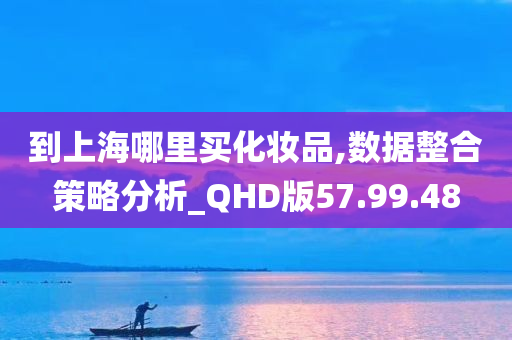 到上海哪里买化妆品,数据整合策略分析_QHD版57.99.48