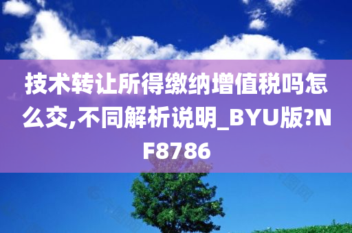 技术转让所得缴纳增值税吗怎么交,不同解析说明_BYU版?NF8786