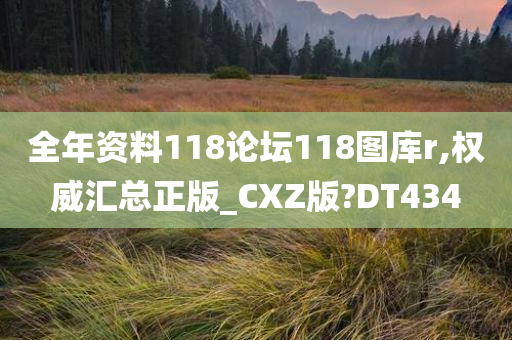 全年资料118论坛118图库r,权威汇总正版_CXZ版?DT434