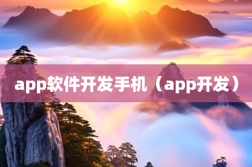 app软件开发手机（app开发）