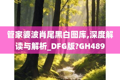 管家婆波肖尾黑白图库,深度解读与解析_DFG版?GH489