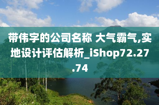 带伟字的公司名称 大气霸气,实地设计评估解析_iShop72.27.74