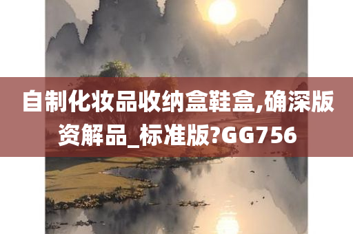 自制化妆品收纳盒鞋盒,确深版资解品_标准版?GG756