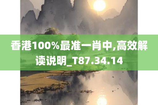 香港100%最准一肖中,高效解读说明_T87.34.14