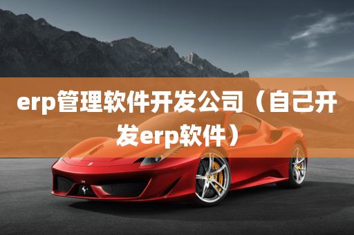 erp管理软件开发公司（自己开发erp软件）