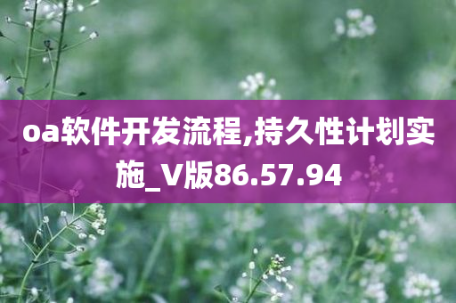 oa软件开发流程,持久性计划实施_V版86.57.94