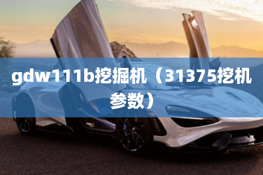 gdw111b挖掘机（31375挖机参数）