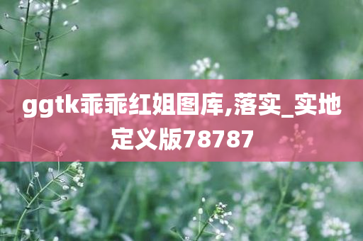 ggtk乖乖红姐图库,落实_实地定义版78787