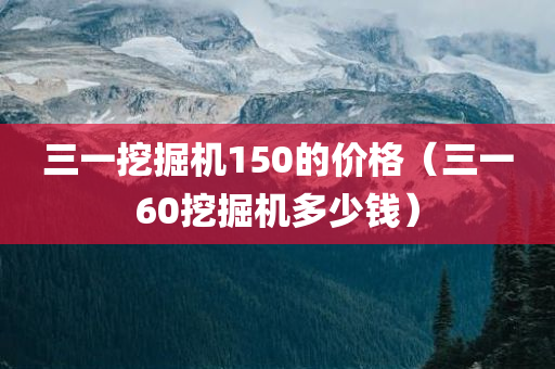 三一挖掘机150的价格（三一60挖掘机多少钱）