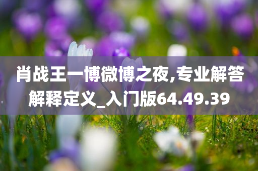 肖战王一博微博之夜,专业解答解释定义_入门版64.49.39