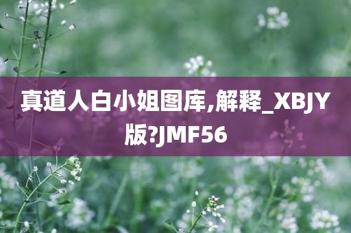 真道人白小姐图库,解释_XBJY版?JMF56